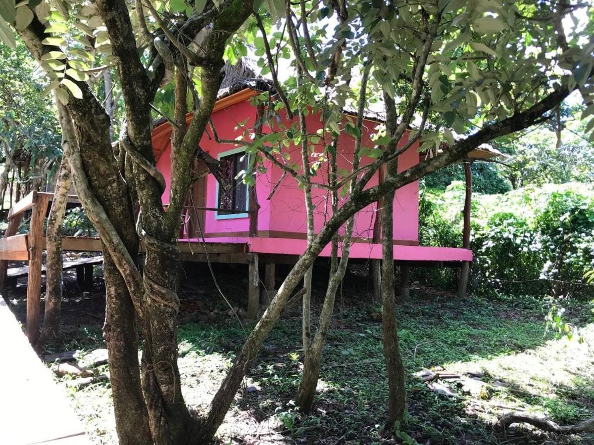 Gibbon Lodge Senmonorom Buitenkant foto